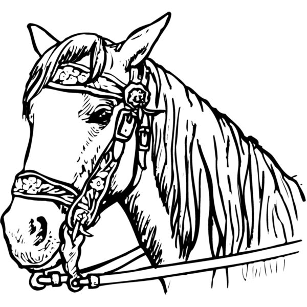 HORSE005 Thumbnail